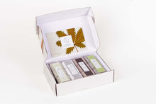 Load image into Gallery viewer, Shower Steamer Gift Box