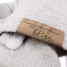 Load image into Gallery viewer, Dream | LOVE Blanket
