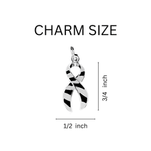 Load image into Gallery viewer, 1/2" x 3/4" Charms with Zebra Stripe Ribbon (with clasp)
